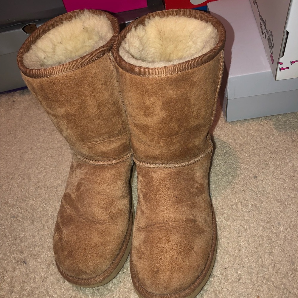 Chestnut Uggs (short classic)